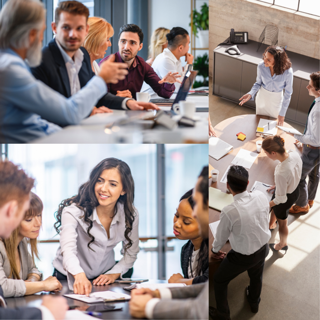 Conseil en management et organisation – Kintsugi Consulting - 78100 Saint Germain en Laye - David Alexandre Pronier